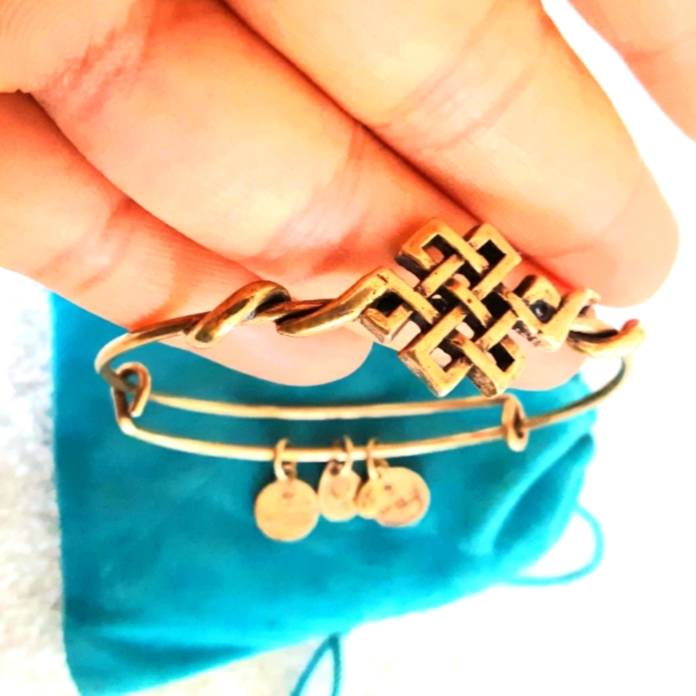 Alex and Ani SPIRITUAL  ARMOR ENDLESS KNOT Charms Bracelet